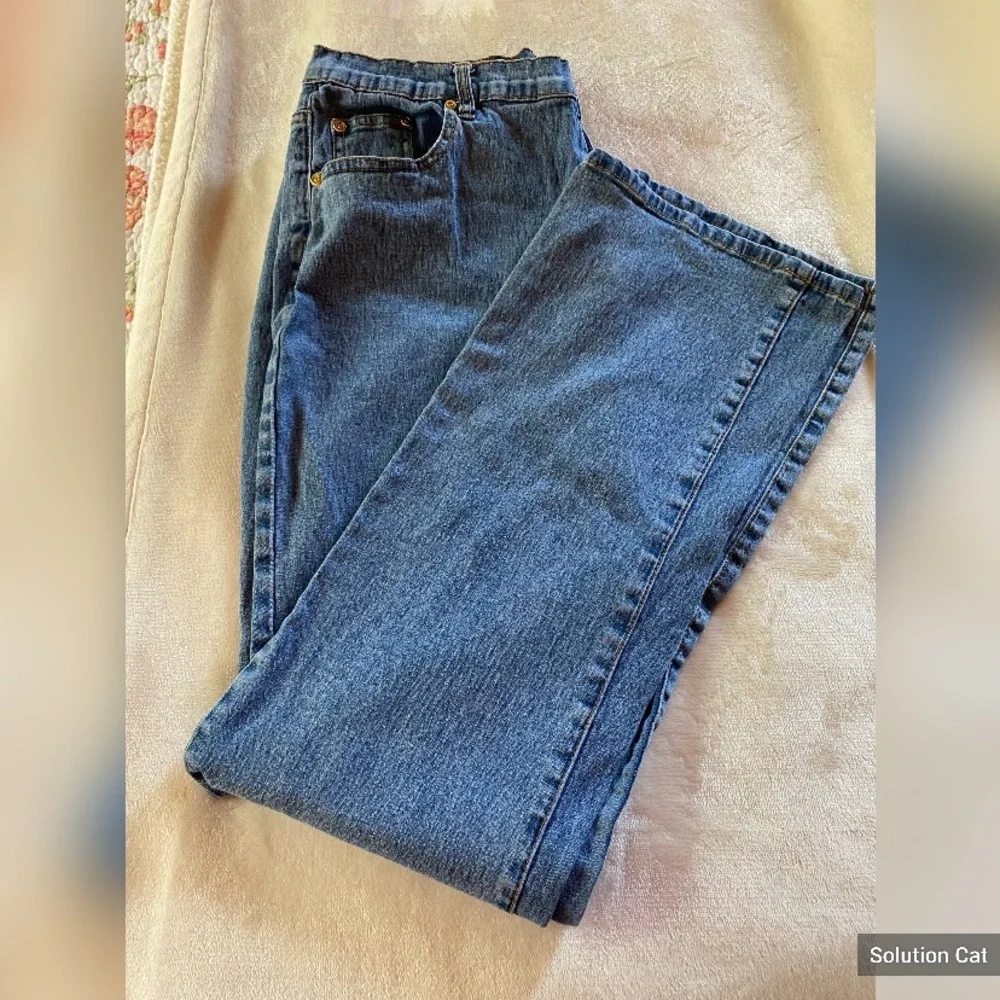 DG2 Vintage jeans by Diane Gilman Size 16